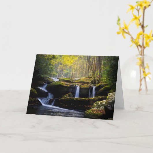 Waterfalls | Great Smoky Mountain National Park Karte (Gelbe Blume)