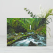 Waterfalls | Grotto Falls, Oregon Dankeskarte (Stehend Vorderseite)