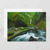 Waterfalls | Grotto Falls, Oregon Postkarte (Vorne/Hinten)