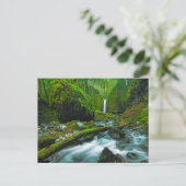 Waterfalls | Grotto Falls, Oregon Postkarte (Stehend Vorderseite)
