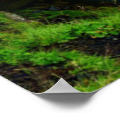 Waterfalls | Kirkjufell, Iceland Poster (Ecke)