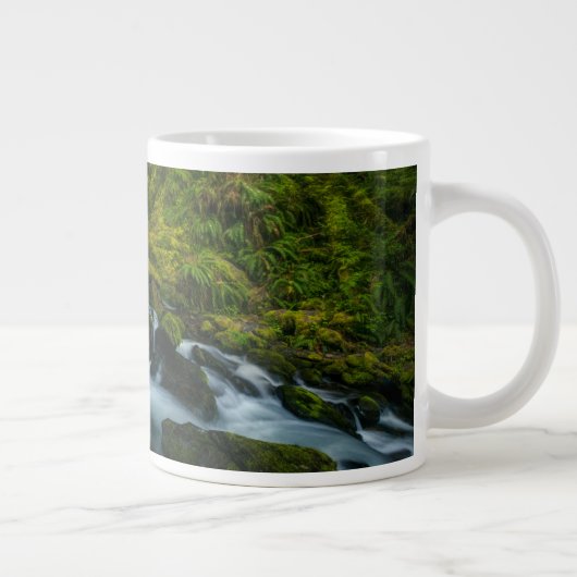 Waterfalls | Olympic National Park, Washington Jumbo-Tasse (Rechts)