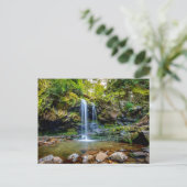 Waterfalls | Smokey Mountain National Park Postkarte (Stehend Vorderseite)