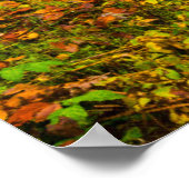 Waterfalls | Triberg Waterfalls, Germany Poster (Ecke)