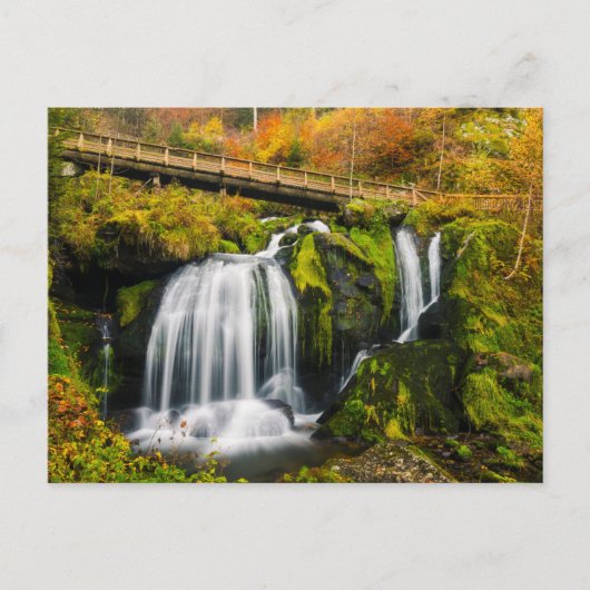 Waterfalls | Triberg Waterfalls, Germany Postkarte (Vorderseite)