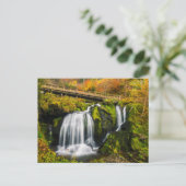 Waterfalls | Triberg Waterfalls, Germany Postkarte (Stehend Vorderseite)