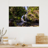Waterfalls | Triberger Wasserfälle, Germany Poster (Küche)
