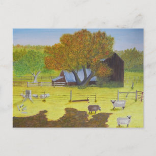 Waterford Barn & Sheep Postkarte