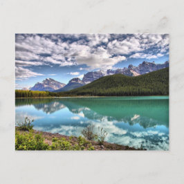 Waterfowl Festival Moon and Stars Postkarte