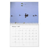 Waterfowl-Kalender Kalender (Feb 2027)