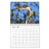 Waterfowl-Kalender Kalender (Mär 2027)