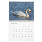 Waterfowl-Kalender Kalender (Jan 2026)