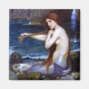 Waterhouse: Die Meerjungfrau Magnet