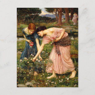 Waterhouse-Versammlungs-YE-Rosenknospe-Einladungen Einladung