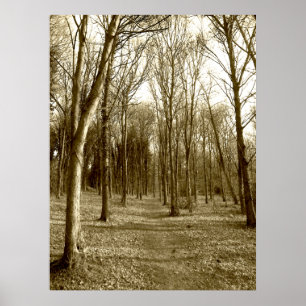 Waterhouses hölzern poster