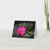 Waterlilly Blanc notecard Dankeskarte (Vorderseite)