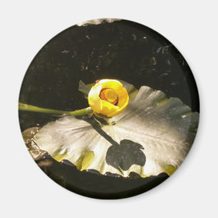 WaterLilly Magnet