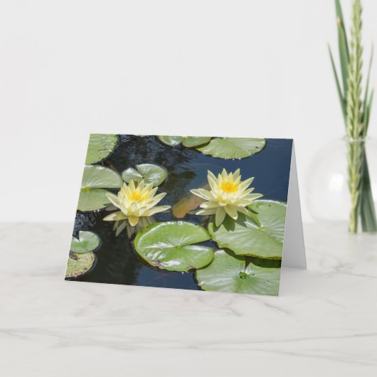 Waterlily Blank Note Card Karte (Vorderseite)