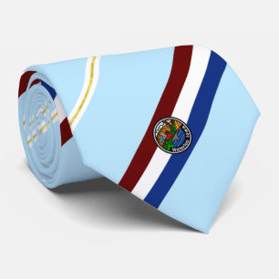 Waterloo (Iowa) Stadtflagge Neck Tie Krawatte