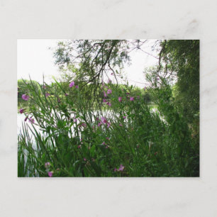 Watermead Country Park Postkarte