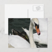 Watermead Country Park Postkarte (Vorne/Hinten)