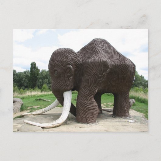 Watermead Country Park Postkarte (Vorderseite)