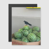 Watermelon Bird Magnet (Vorne/Hinten)