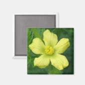 Watermelon Bloom Magnet (Vorderseite/Rückseite)