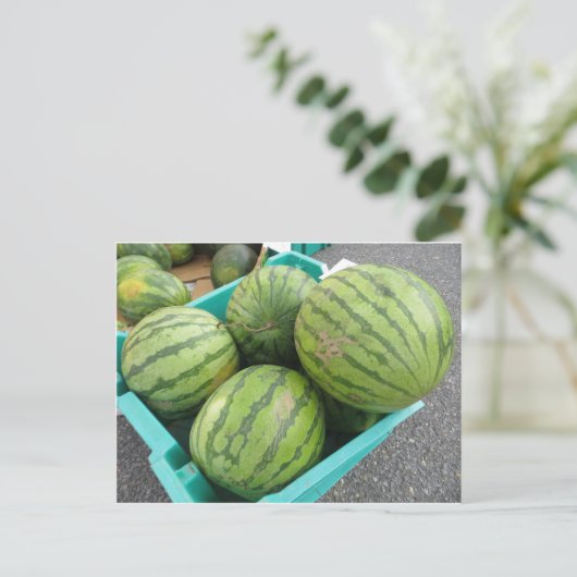 Watermelon Bunch. Postkarte (Stehend Vorderseite)