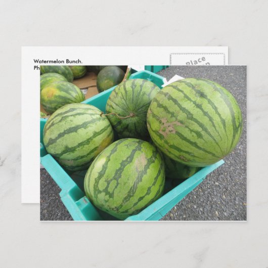 Watermelon Bunch. Postkarte (Vorne/Hinten)