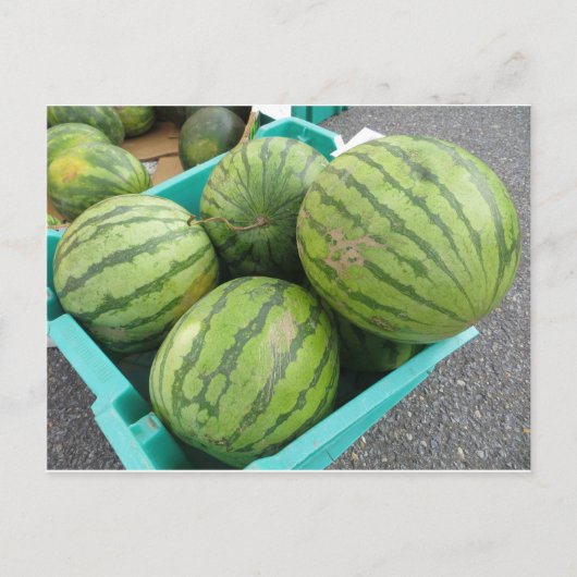 Watermelon Bunch. Postkarte (Vorderseite)