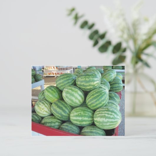 Watermelon Bundle Postkarte (Stehend Vorderseite)