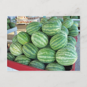 Watermelon Bundle Postkarte