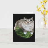 Watermelon Cat Albern Cat Meme Karte (Gelbe Blume)