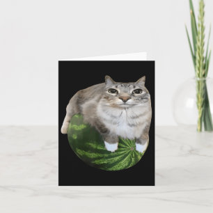 Watermelon Cat Albern Cat Meme Karte
