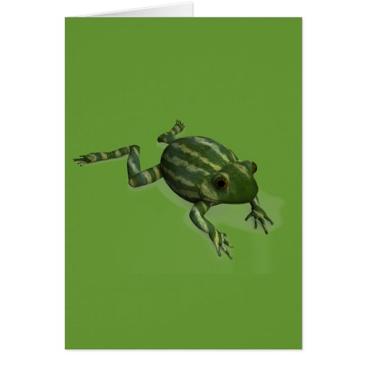 Watermelon Frog (Vorne)