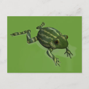 Watermelon Frog Postkarte
