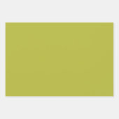 Watermelon Gingham Geschenkpapier Set (Vorderseite 3)