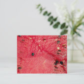 WATERMELON Postkarte (Stehend Vorderseite)