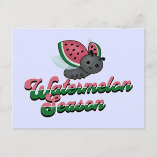 Watermelon Season Ladybug Postkarte