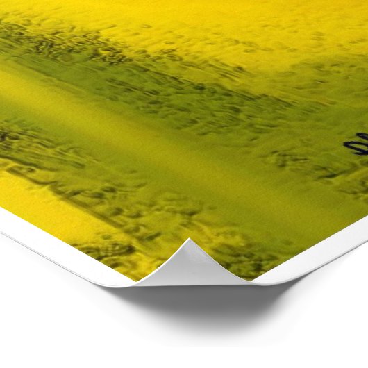 Watermelon Summer Poster (Ecke)