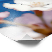 "Water's Digital Dream" - ein digitales Portrait Fotodruck (Ecke)