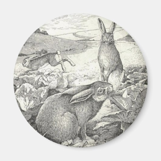 Watership Down Magnet (Vorne)