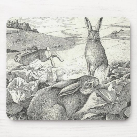 Watership Down Mousepad (Vorne)