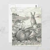 Watership Down Postkarte (Vorne/Hinten)