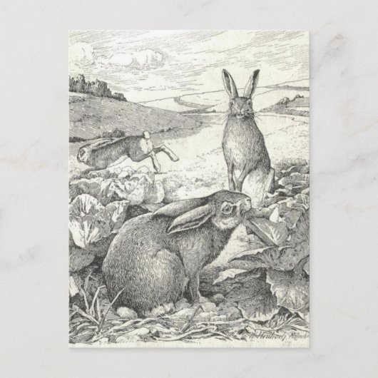 Watership Down Postkarte (Vorderseite)