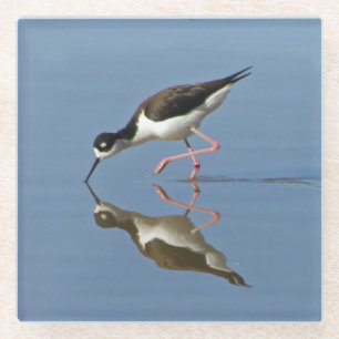 Watervogel mit Wasserreflexions-Naturfoto Glasuntersetzer