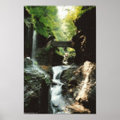 Watkins Falls Poster (Vorne)