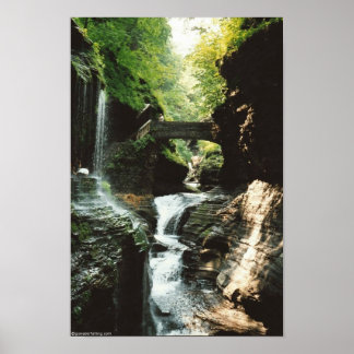 Watkins Falls Poster