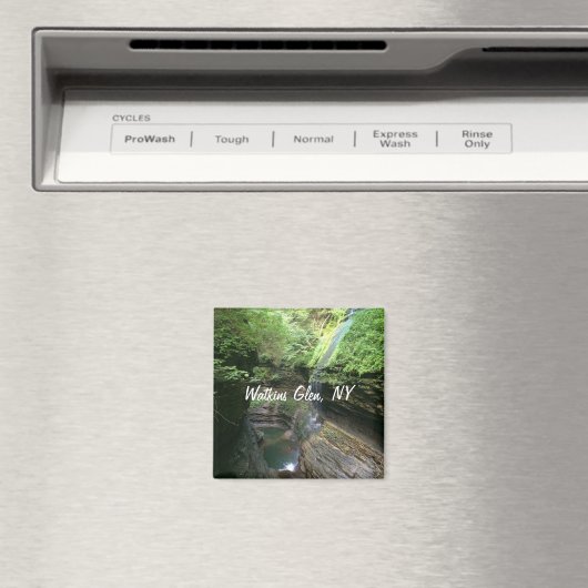 Watkins Glen Kühlschrank Magnet (In Situ (Geschirrspüler))